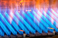 Tal Y Llyn gas fired boilers